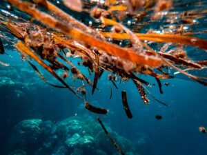 Aave liquidates Kelp DAO hacker's rsETH positions on Ethereum, Arbitrum