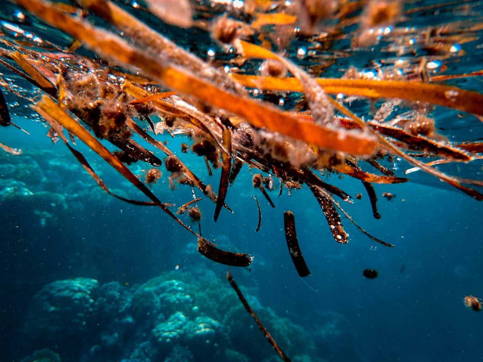 Aave liquidates Kelp DAO hacker's rsETH positions on Ethereum, Arbitrum