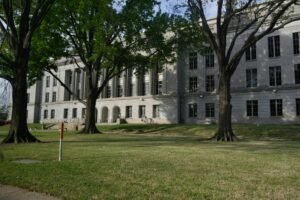 Tether Partners With Georgia Government to Launch GELT Stablecoin