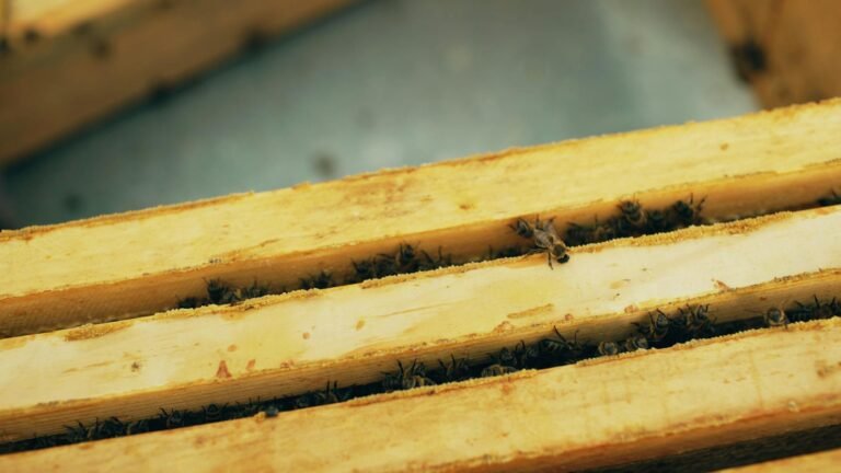 HIVE buys $58 million Toronto plot for AI facility; shares climb