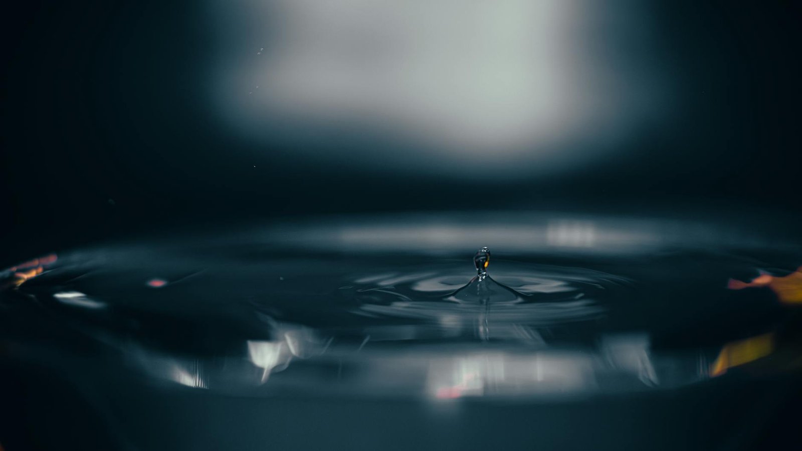 The Ripple Factor: Why SBI Is Prioritizing XRP Over Ethereum for Japanese ETFs