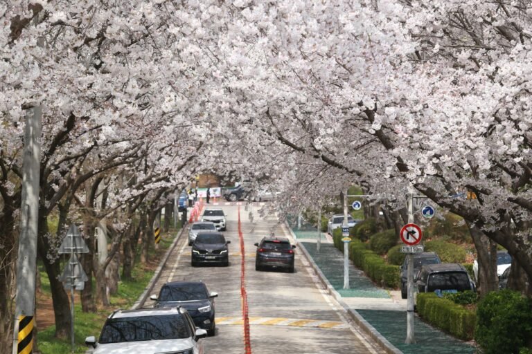 South Korea Files First Criminal Case Over DEX Rug Pull, Indicts Five in Solana Meme Coin Scheme