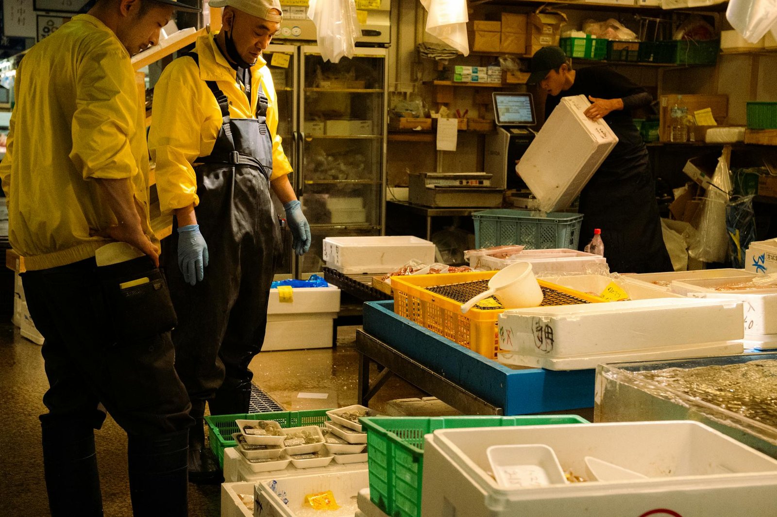 Polymarket Targets Japan Market Entry, Appoints Representative in Push for 2030 Approval
