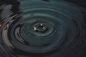 Ripple’s Schwartz Warns XRP Users to Stay Safe From Giveaway Scams
