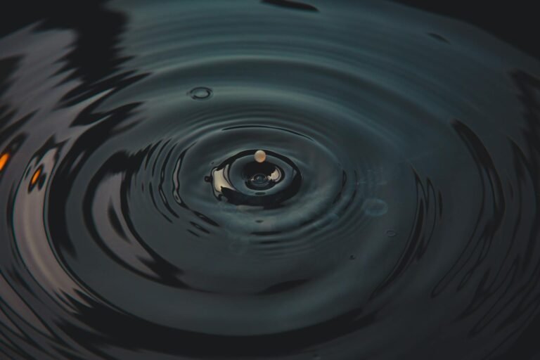 Ripple’s Schwartz Warns XRP Users to Stay Safe From Giveaway Scams