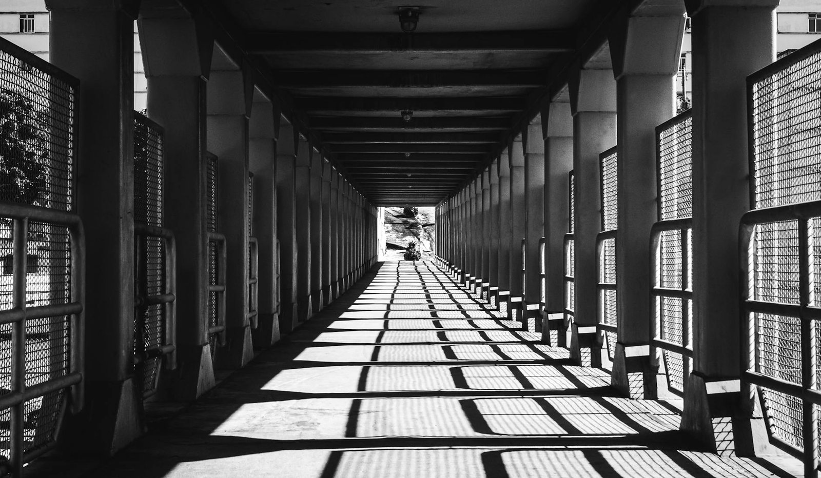 Latam Insights: Brazil Bans Crypto Transfers as Meta Launches USDC Payouts
