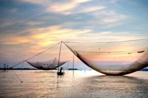 Dominance of Tether and Circle is a net bad for stablecoins, says Bridge executive