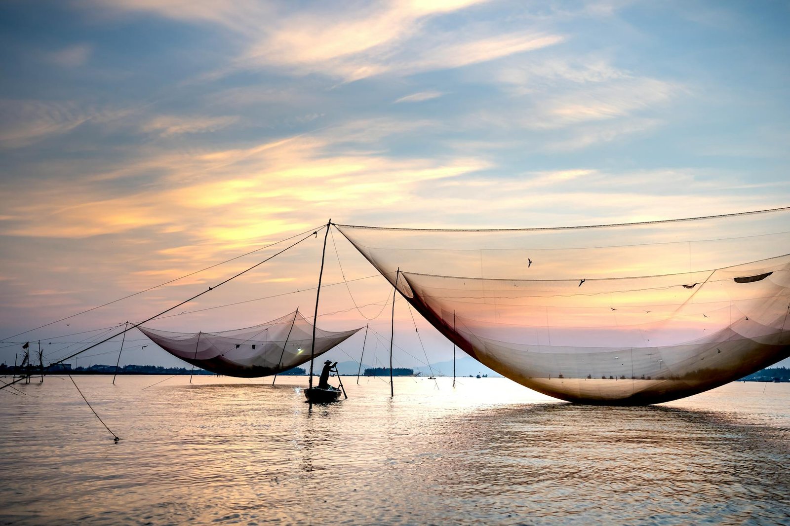 Dominance of Tether and Circle is a net bad for stablecoins, says Bridge executive