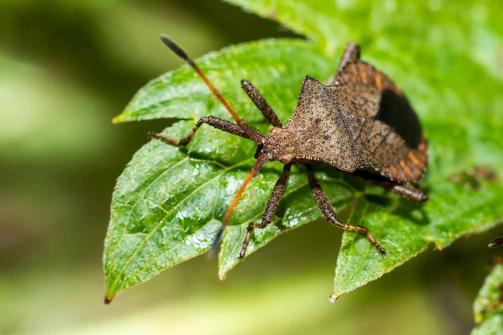 Why a 2017 Linux bug is now a major concern for the crypto industry