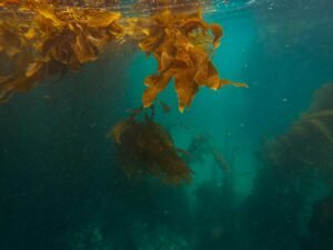 LayerZero's Incident Report Says Kelp Downgraded From 2-of-2 to 1-of-1 DVN Before $292M Exploit