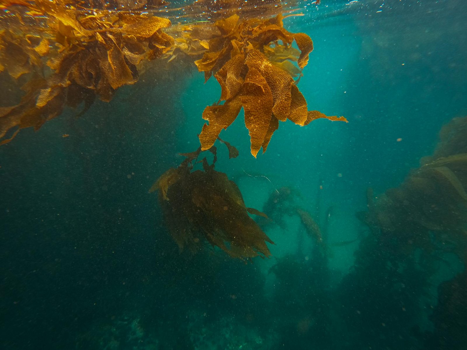 LayerZero's Incident Report Says Kelp Downgraded From 2-of-2 to 1-of-1 DVN Before $292M Exploit