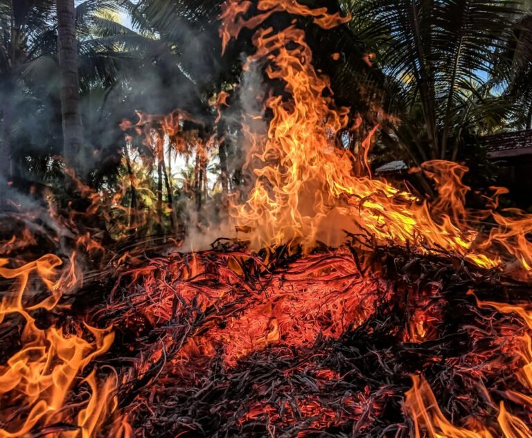Kelp DAO Burns Exploiter's rsETH on Arbitrum, Plans Two-Week Withdrawal Reopening: Kelp DAO