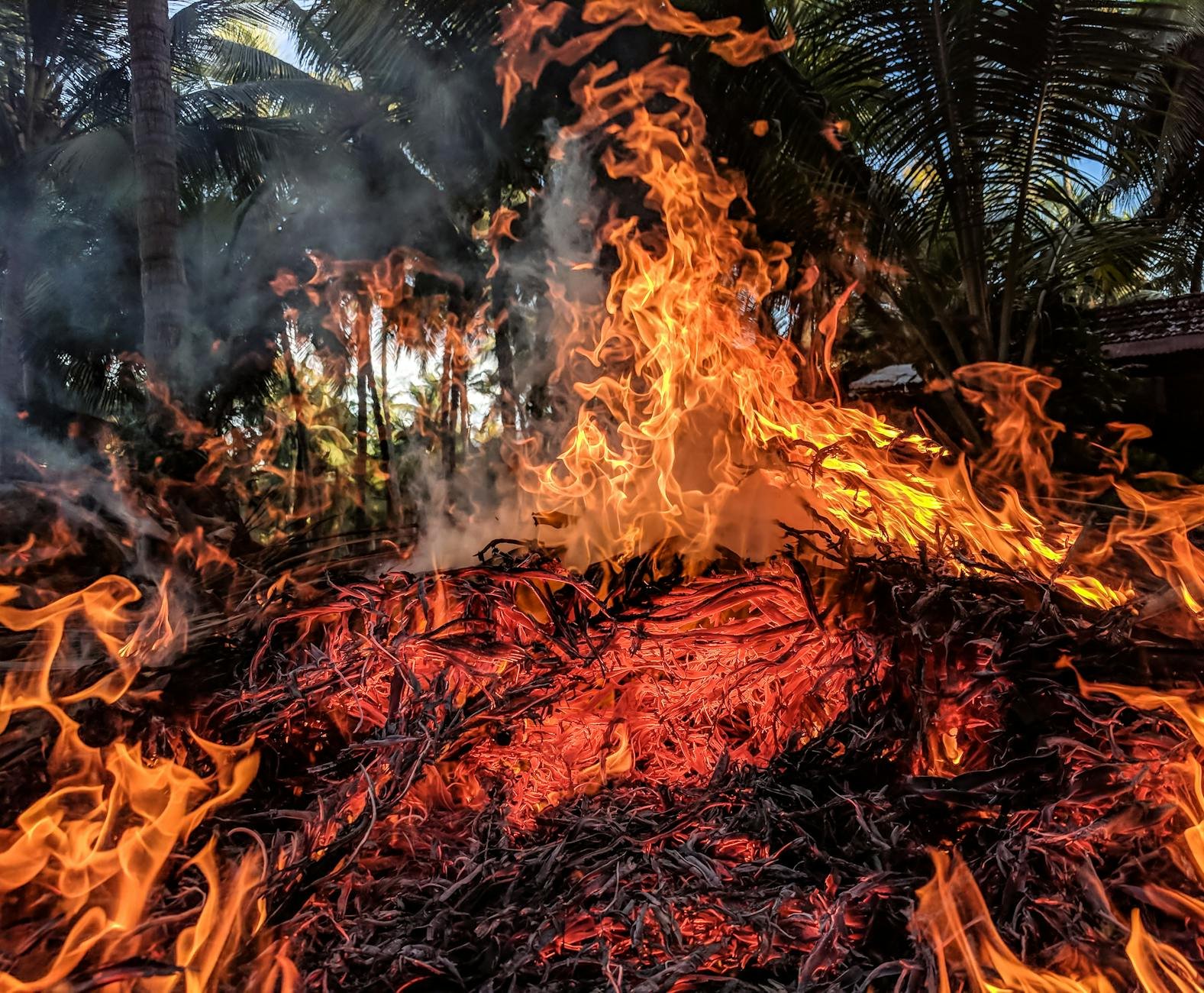 Kelp DAO Burns Exploiter's rsETH on Arbitrum, Plans Two-Week Withdrawal Reopening: Kelp DAO