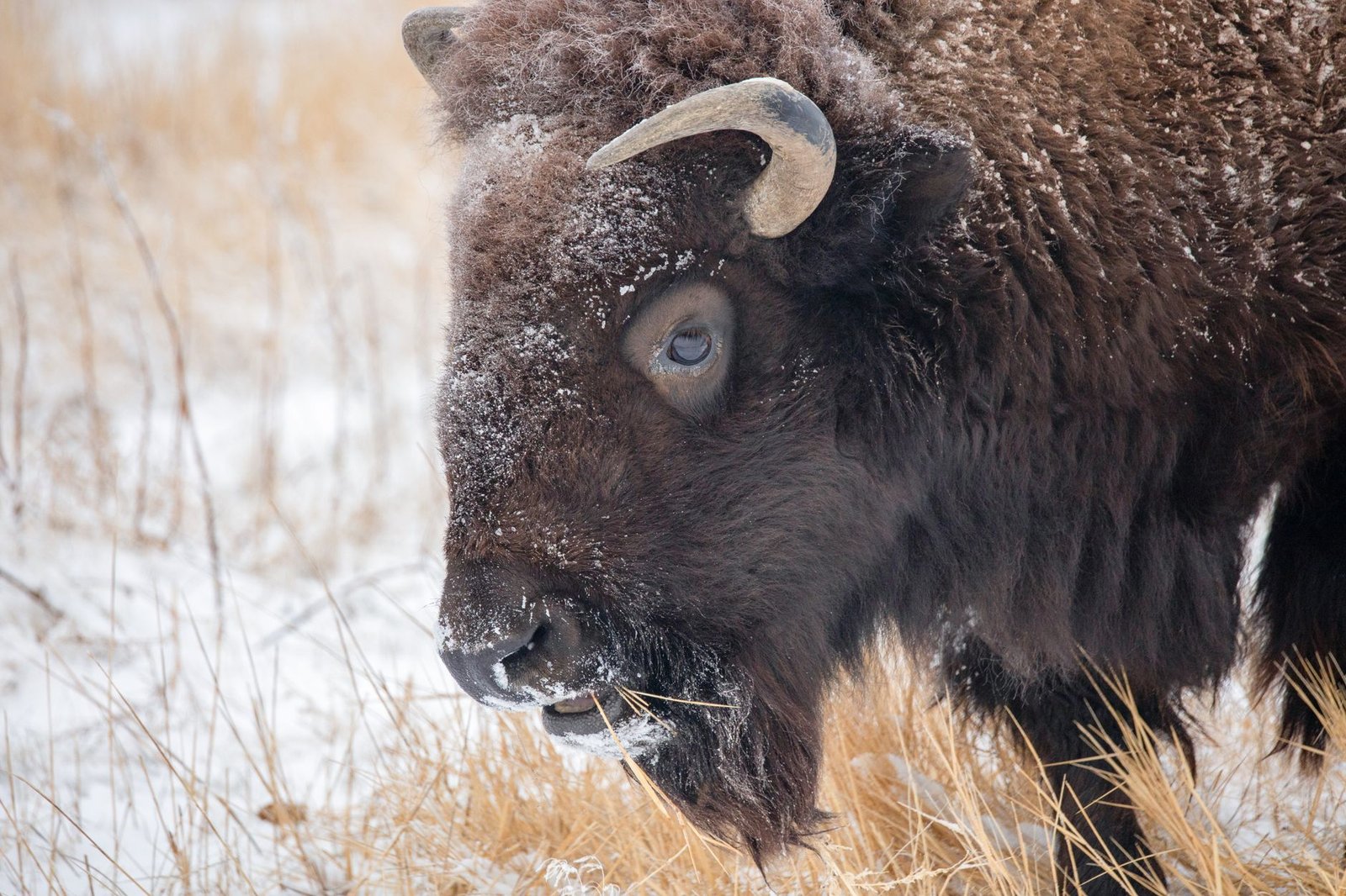 Tribal Coalition Files Amicus Briefs to Keep Prediction Markets Off Native Land