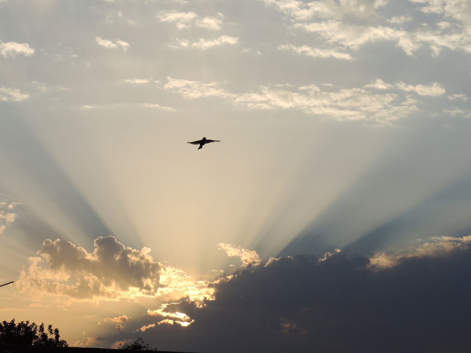 Aave could soar to $3,500 by 2030 on DeFi revival, says StanChart