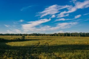 New DeFi entrant widens field of crypto political campaign funds as elections loom