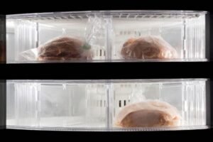Notorious ‘sandwich attack’ bot Jaredfromsubway.eth exploited for $7.5M