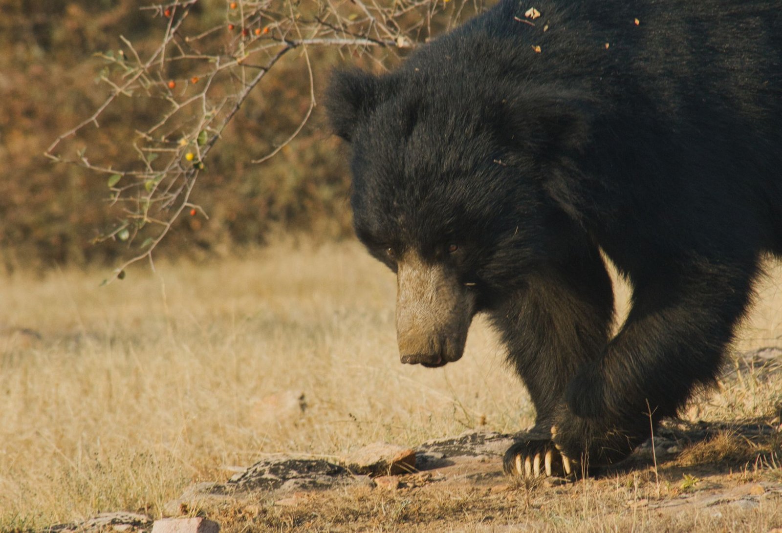 Bearishness Persists, but It’s Not All Bad Folks  — Week in Review