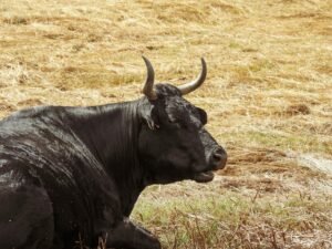Bitcoin bulls' fate rests on $60K support as crypto erases $2T in market cap