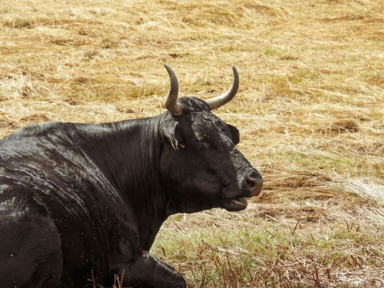 Bitcoin bulls' fate rests on $60K support as crypto erases $2T in market cap