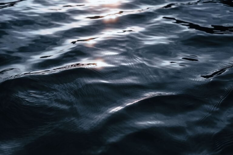 Ripple’s Schwartz Highlights XRP Use Cases Ahead of Largest-Ever Swell Event