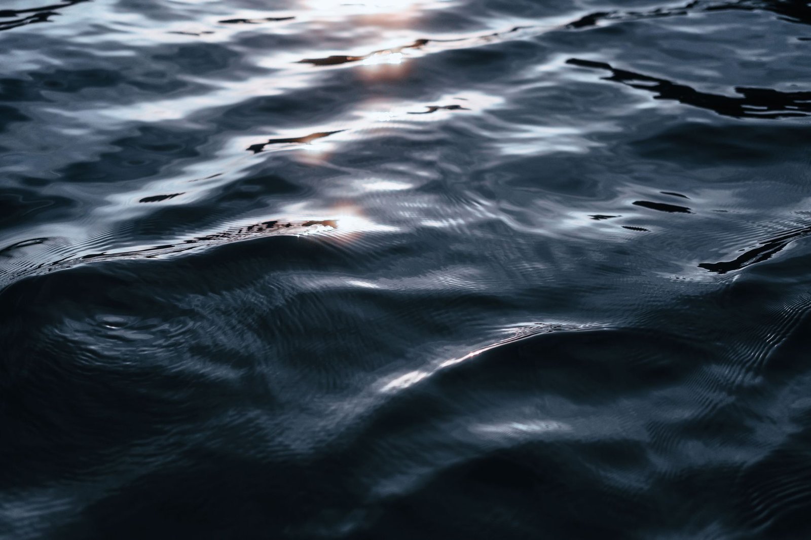 Ripple’s Schwartz Highlights XRP Use Cases Ahead of Largest-Ever Swell Event