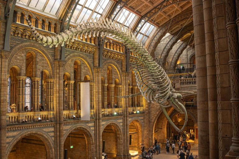 HYPE Whales Pull $64.9M off Exchanges as One Trader’s $46.5M Short Bet Backfires