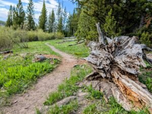Wyoming executive order to guide AI data center development