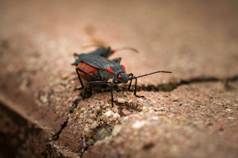 Researcher Cracks 9-Year-Old Bug, Frees $2M in Ethereum Locked Since 2016 ICO