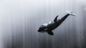 Ethereum whale who shorted October 2025 crash opens $19.7M ETH short position