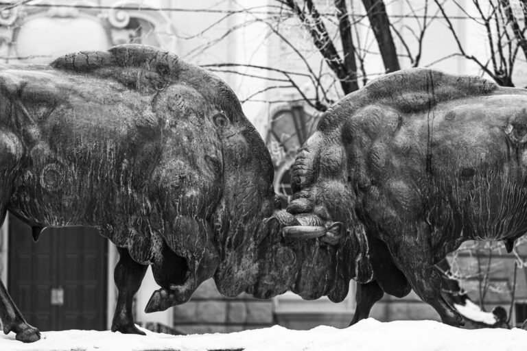 Next bull run will be slower, less volatile as investors' crypto appetite evolves, Bitwise CIO says