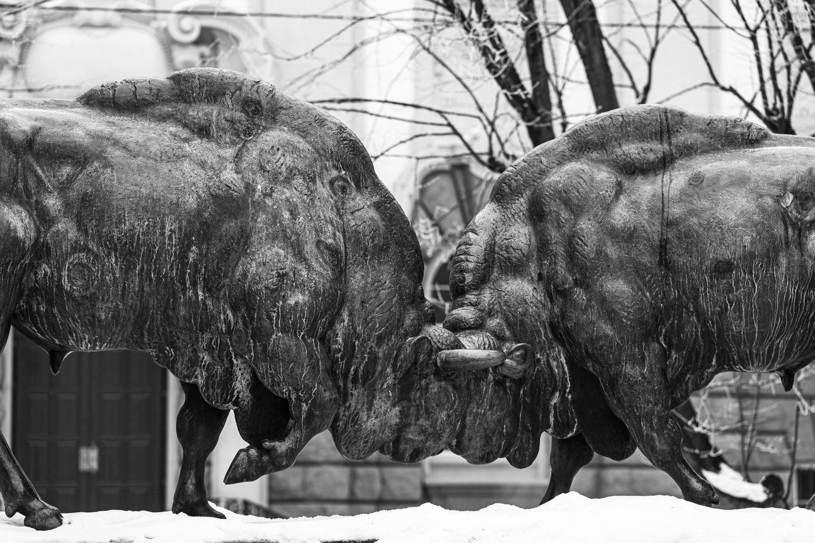 Next bull run will be slower, less volatile as investors' crypto appetite evolves, Bitwise CIO says