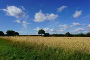 Sky Launches Fixed-Rate Yield Product Built on Pendle, Targeting $6B sUSDS Pool