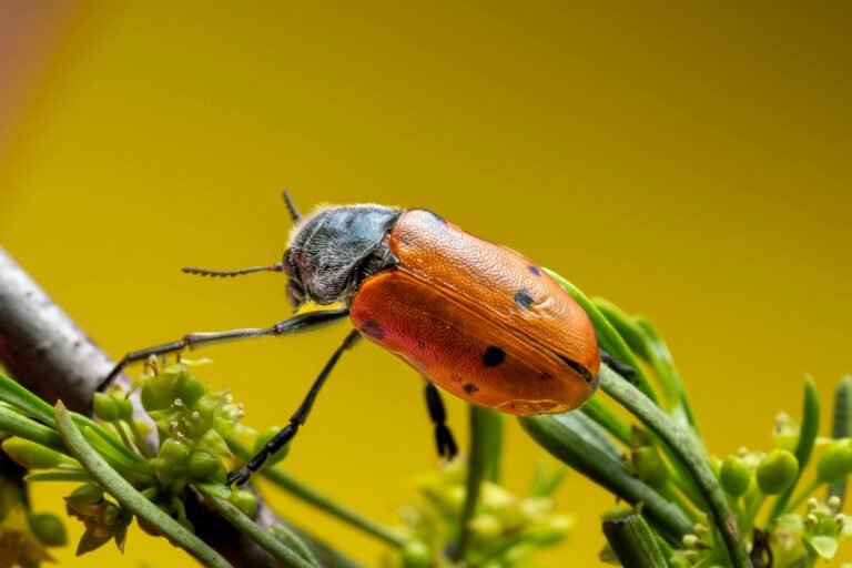 Zcash Bug Discovered, Binance Predictions Trillions in Tokenized Equity Inflows, and More – Week In Review