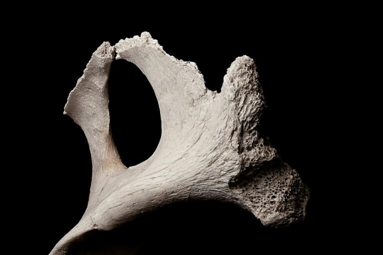 New Findings Reveal a Groundbreaking Creation That Redefines Our Understanding of Chance