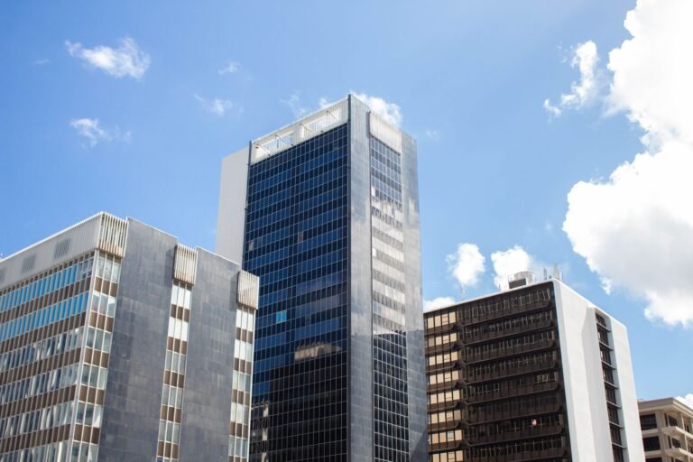 South African Reserve Bank Backs Payshap Over Digital Rand as Cassim Targets Real-Time Payments