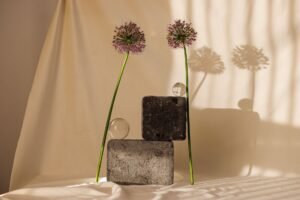 Visa and BCG Build on Allium as Startup Closes $40M Series B