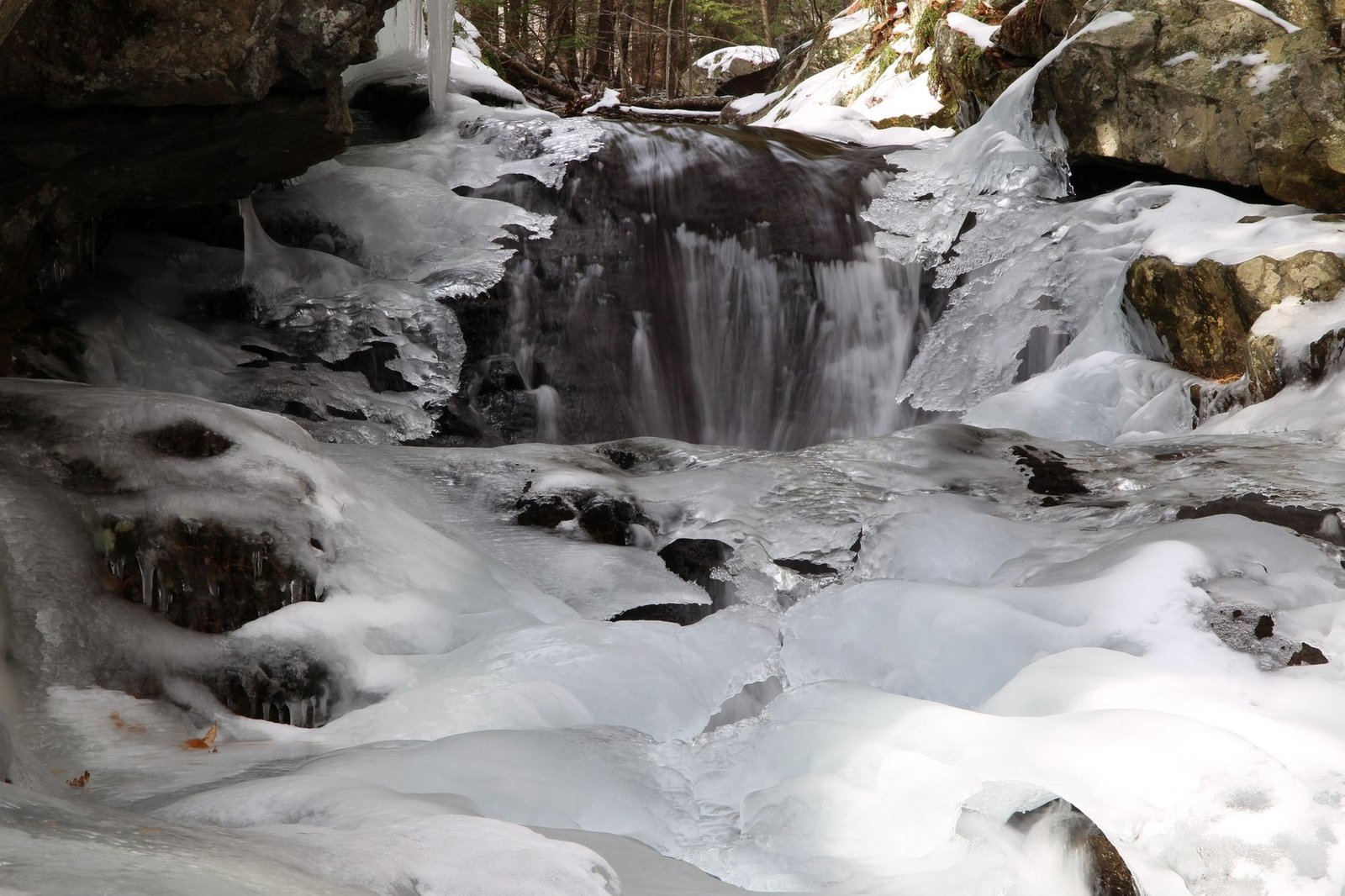 Avalanche Treasury Co. falls 16% as it debuts on Nasdaq