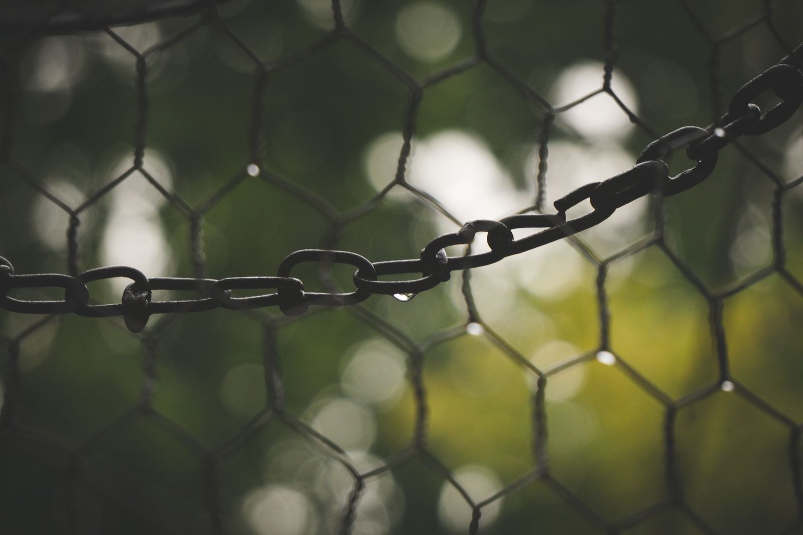 Over $7.2 billion have migrated from LayerZero to Chainlink CCIP as Mantle joins exodus