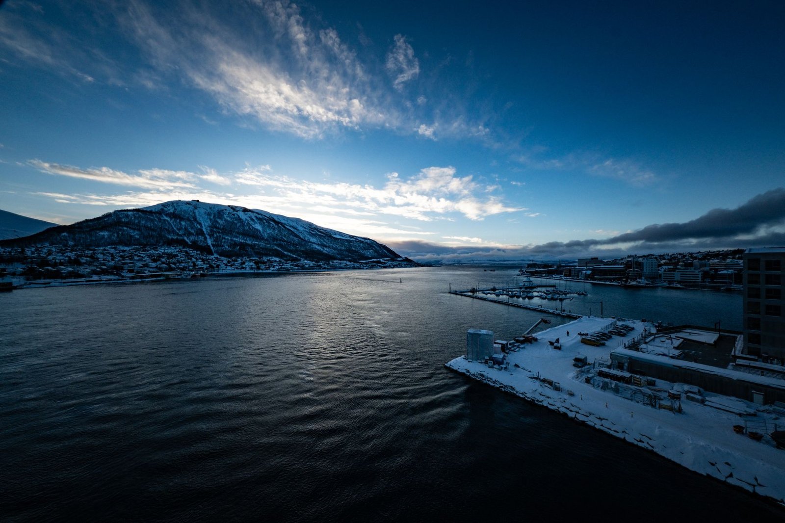 Coinbase AI Declares Norway World Cup Winner Before Kickoff as Armstrong Orders Review
