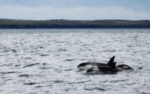 A16z-Linked Whale Dumps $28 Million in HYPE as Token Slides 10% in a Day