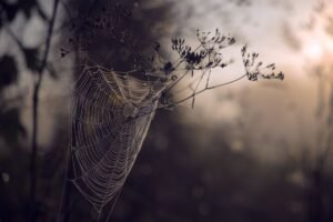 PI Network Token Drops 17% to New Low as Pioneer Selling Fuels Fresh Confidence Fears