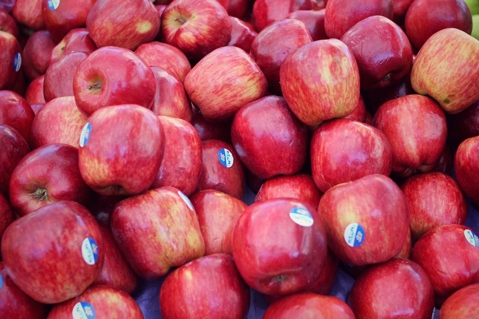 Apple Sues OpenAI Over Trade Secret Theft ‘at Every Level’: Here’s What Is Known Till Now