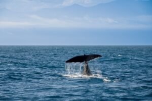This Whale Bought ETH at $4,311 and Never Sold. It Cost Him $23.8 Million