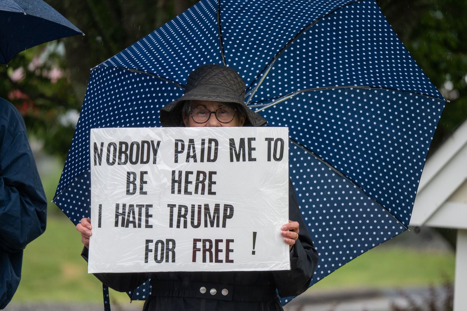 White House Touts ‘Trump Coin’ as TRUMP Memecoin Holders Sit on $3.81 Billion in Losses