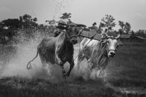 Bull Market in Sight: Bitwise Sees Bottom Forming Ahead of Fall Rally