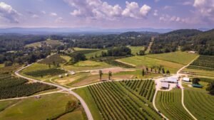 North Carolina Sides With Federal Preemption, Taxing Prediction Markets 6% While Sportsbooks Pay 23%