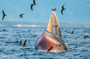 Whales Open $148 Million in Leveraged Longs as Bitcoin Reclaims $64K After Strategy’s 3,588 BTC Sale