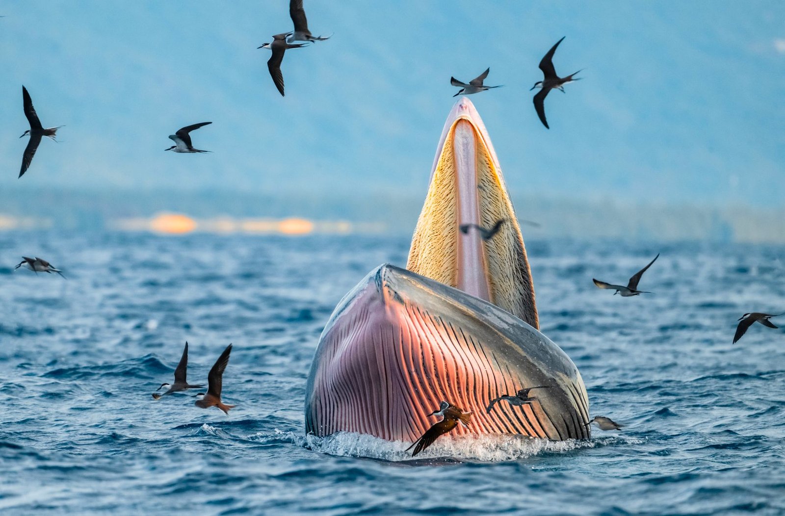 Whales Open $148 Million in Leveraged Longs as Bitcoin Reclaims $64K After Strategy’s 3,588 BTC Sale