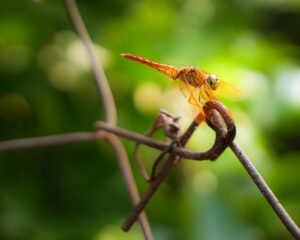 AI has not triggered DeFi ‘hackpocalypse,’ Dragonfly partner says